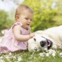 Miedo a los animales en la infancia