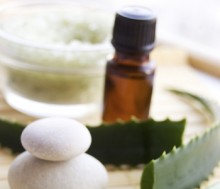 Áloe vera o rosa mosqueta, los mejores remedios