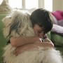 Un perro, un gato, un hámster… ¿Qué animal elegir para tu hijo/a?