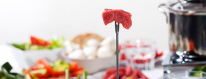 Fondue japonesa
