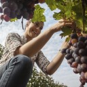 ¡Huye de la química!