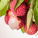 El litchi