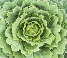 Verduras contra el ardor de estómago