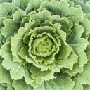 Verduras contra el ardor de estómago