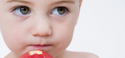 Alimentación de 1 a 3 años