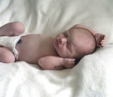 El cordón umbilical