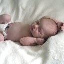 El cordón umbilical