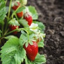 Sabor para tu paladar y alimento para tus huesos